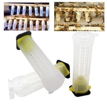 10VNT Karalienė narve vabzdžių įrankiai bitininkystės karalienė plastiko narvelių bitės lauke narvuose bitės įrankis abelhas bitininkystės įrangą apsauga
