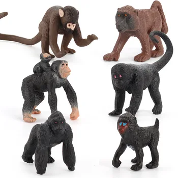 6Pcs Modeliavimas Miškų, Laukinių Šimpanzių Beždžionių Babuinų Pav Modelis Pyragas Apdaila Šalies Prekių Montessori Gyvūnų Žaislai