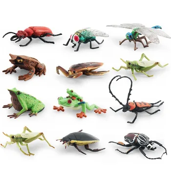 Vabzdžių Modelio Duomenys Figūrėlės Plastiko Modeliavimas Žiogas Skristi Longlouse rinkinys vaikas Švietimo PVC Žaislai