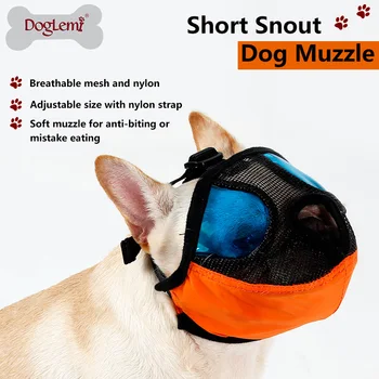 Šunelis profesinės minkštas kvėpuojantis snukis su mėlyna skaidrūs akiniai vienodo veido, burnos, nosies šuo Buldogas augintiniai prekes
